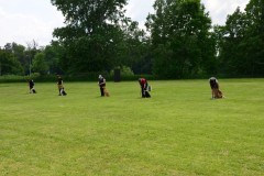 DSC_0093